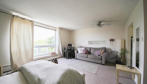 a living room with a couch and a bed